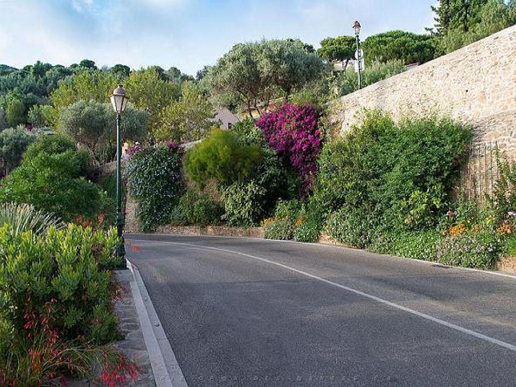 183 D23 BORMES LES MIMOSAS 1_000050.jpg